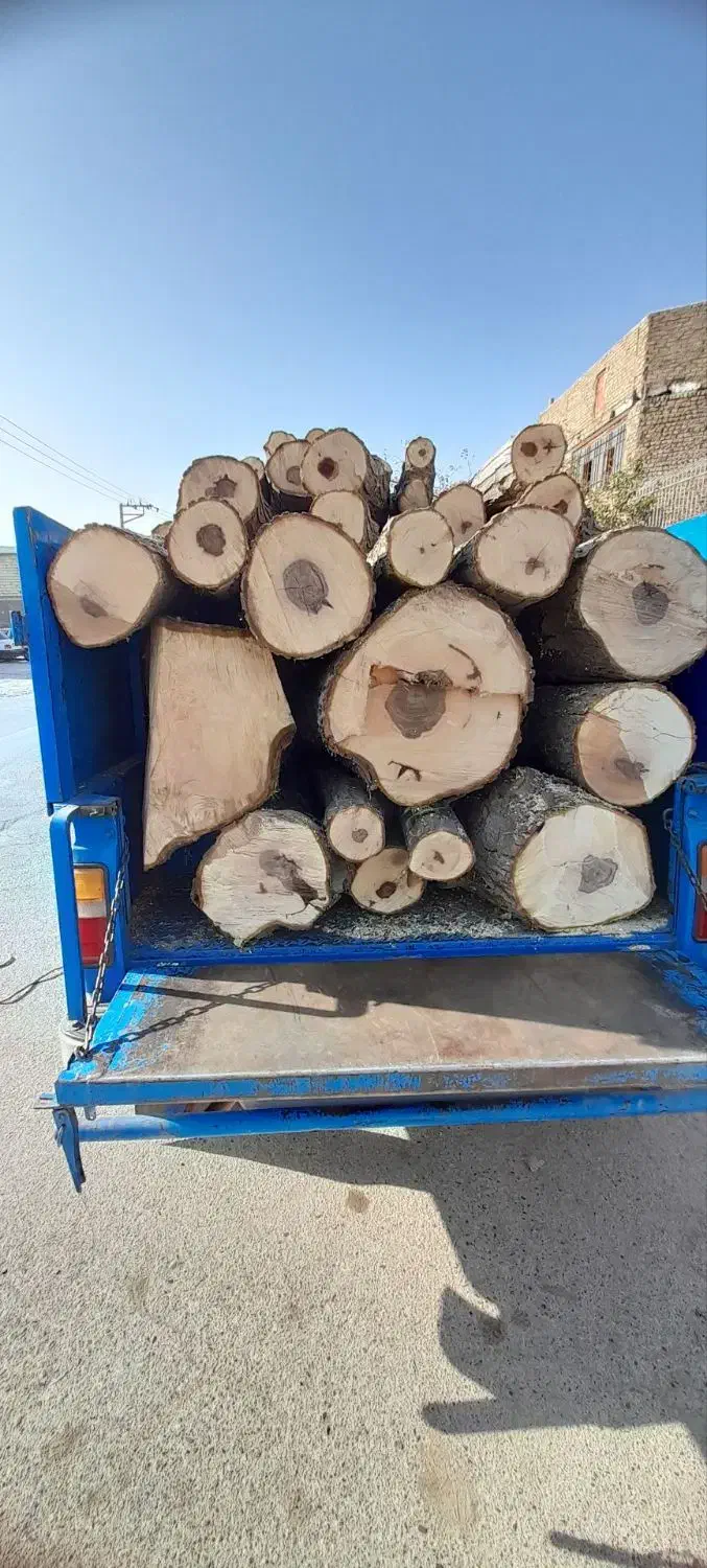 خریدچوب|خدمات باغبانی و درختکاری|چناران, |دیوار