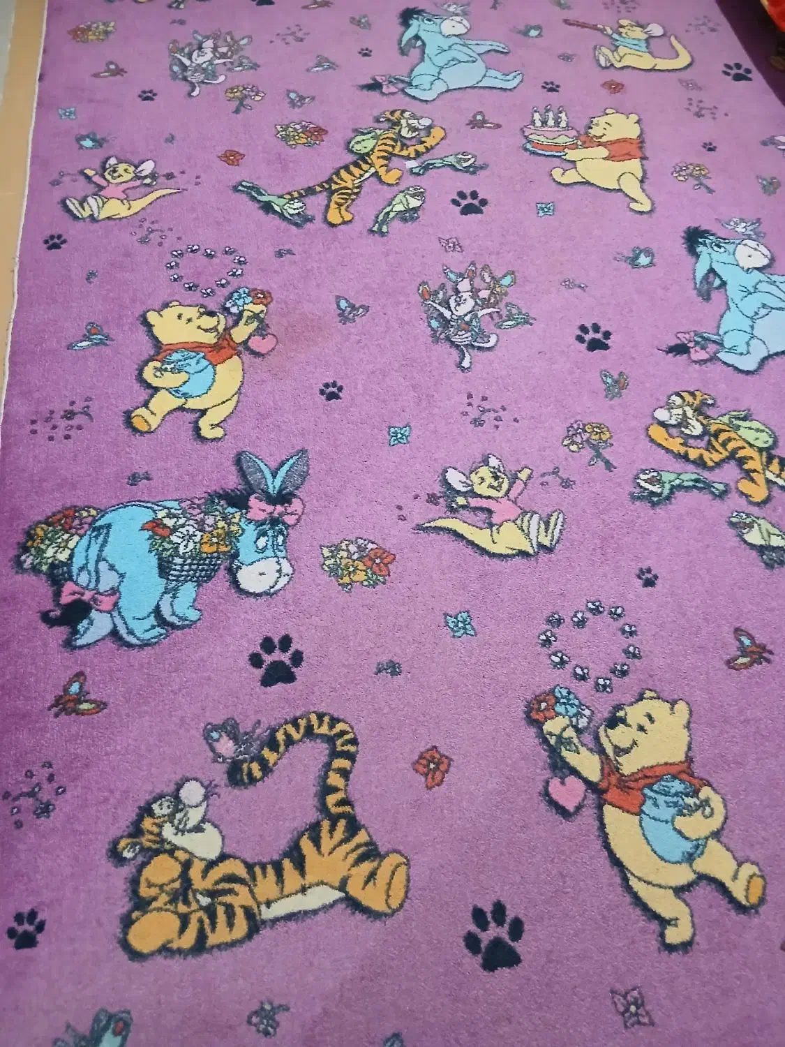 ۱۲مترپالازموکت|موکت|کرمانشاه, |دیوار