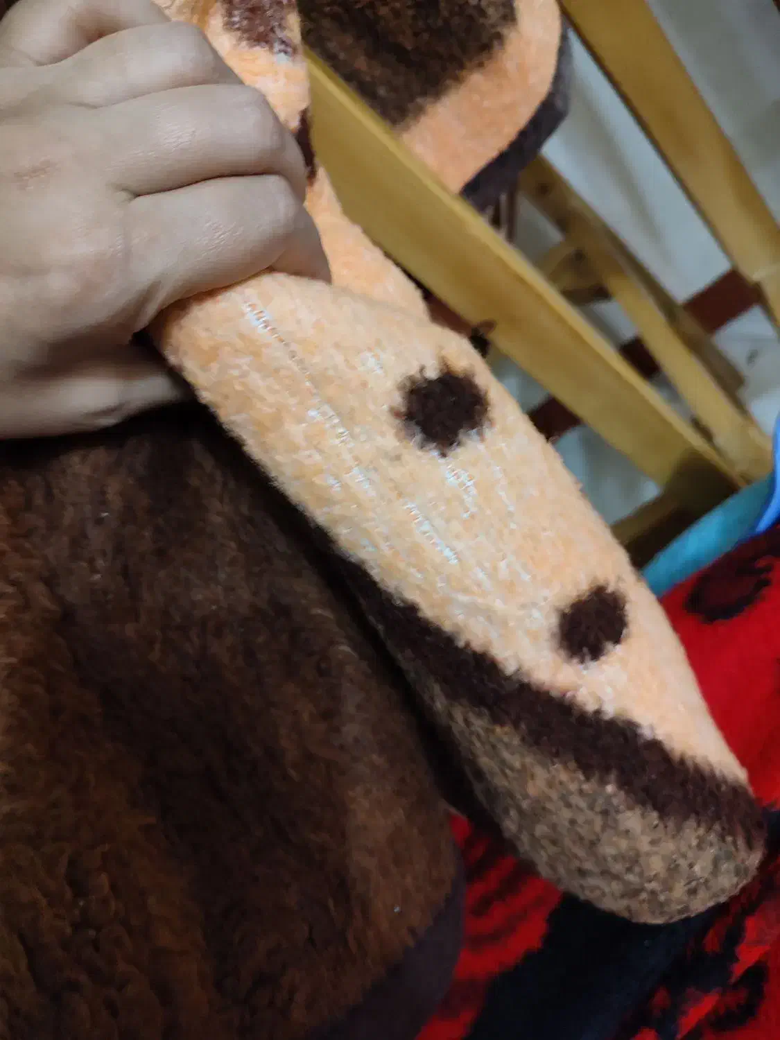 پتو|رختخواب، بالش، پتو|بهشهر, |دیوار