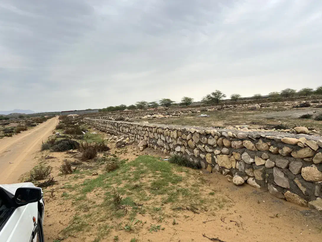 زمین باغی گورک|فروش دفتر صنعتی، کشاورزی، تجاری|دلوار, |دیوار