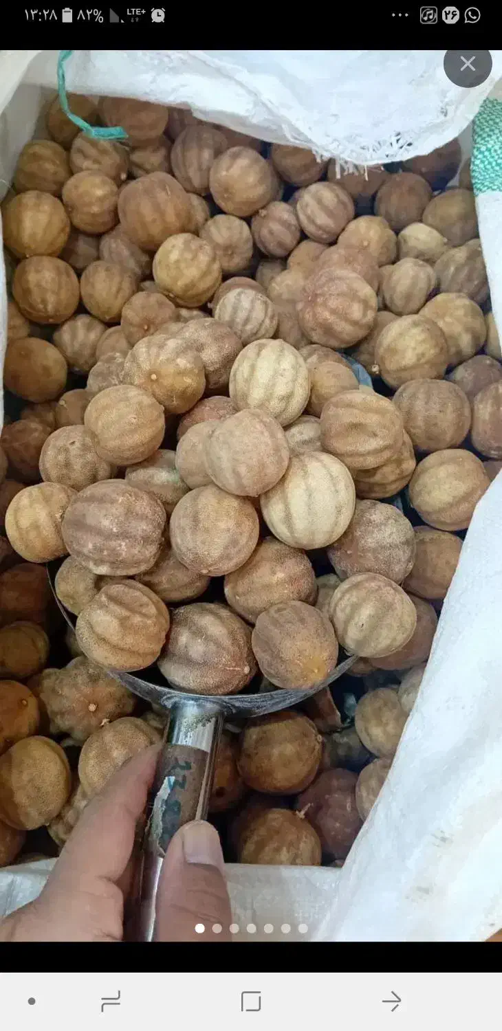 خریدار لیمو خشک صندوقی و کیلویی. نقد|خدمات باغبانی و درختکاری|جهرم, |دیوار