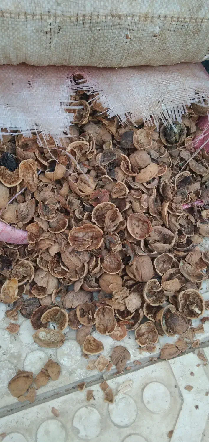 پوست گردو|عمده‌فروشی|مشهد, موسوی قوچانی|دیوار