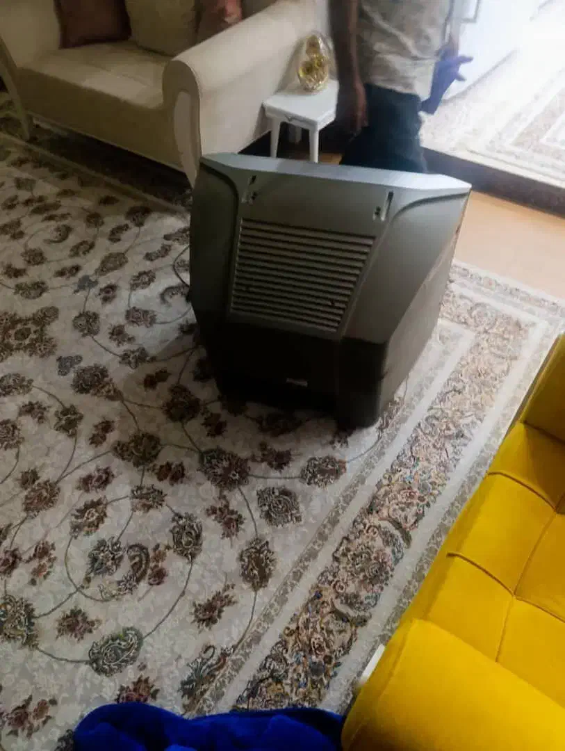 تلویزیون 21|تلویزیون و پروژکتور|بوشهر, |دیوار