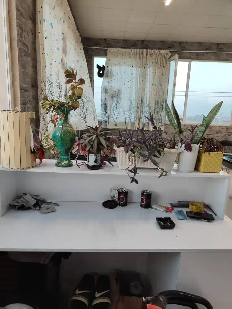 مغازه تجاری 62متری گلبهار|فروش مغازه و غرفه|گلبهار, شهر جدید گلبهار|دیوار