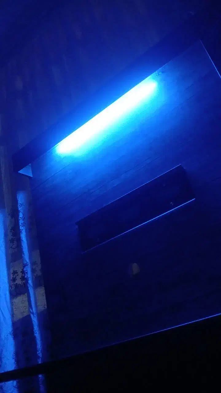 ام دی اف تی وی|تلویزیون و پروژکتور|دوگنبدان, |دیوار