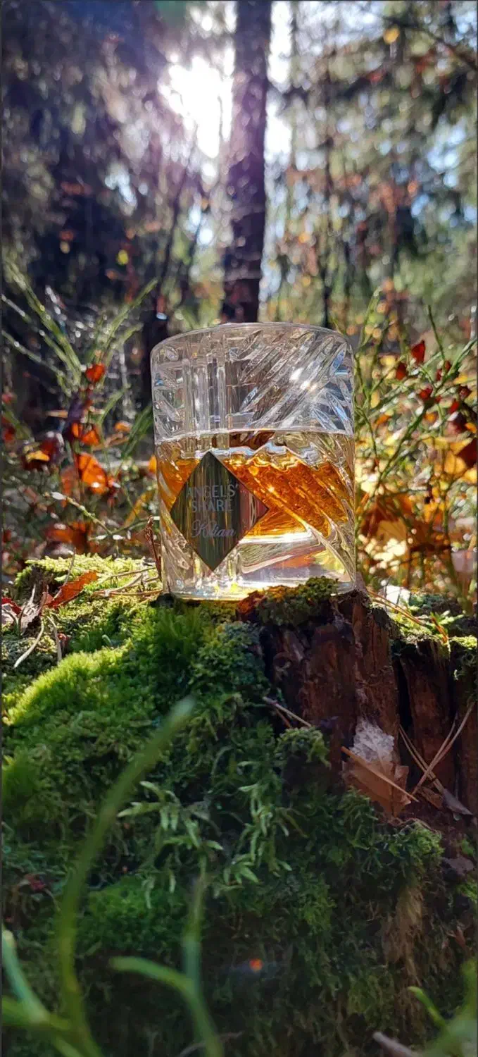 فقط عطر باز ها این آگهی رو ببینن|آرایشی، بهداشتی، درمانی|قائن, |دیوار