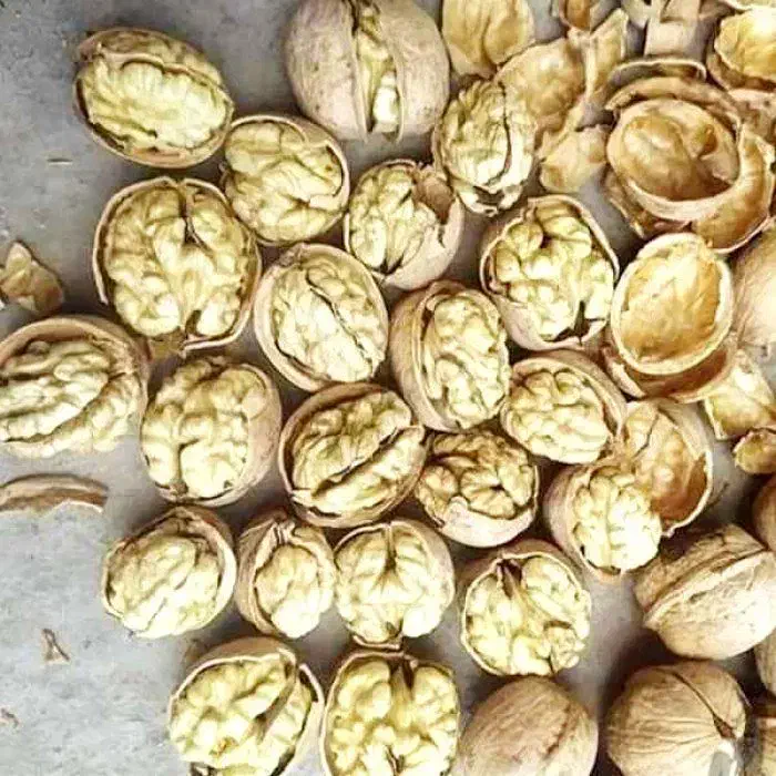 گردو پوست کاغذی ۶۴۵/۰۰۰      باضمانت ( بدون پوچی )|خوردنی و آشامیدنی|قم, ولیعصر|دیوار