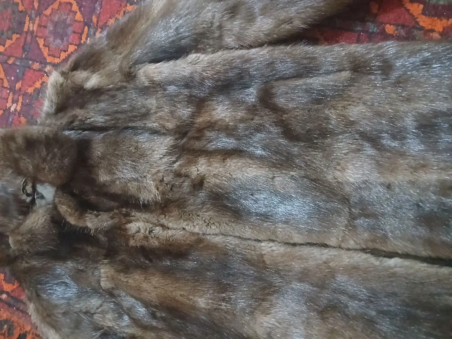 پالتو ...طبیعی|لباس|مینودشت, |دیوار