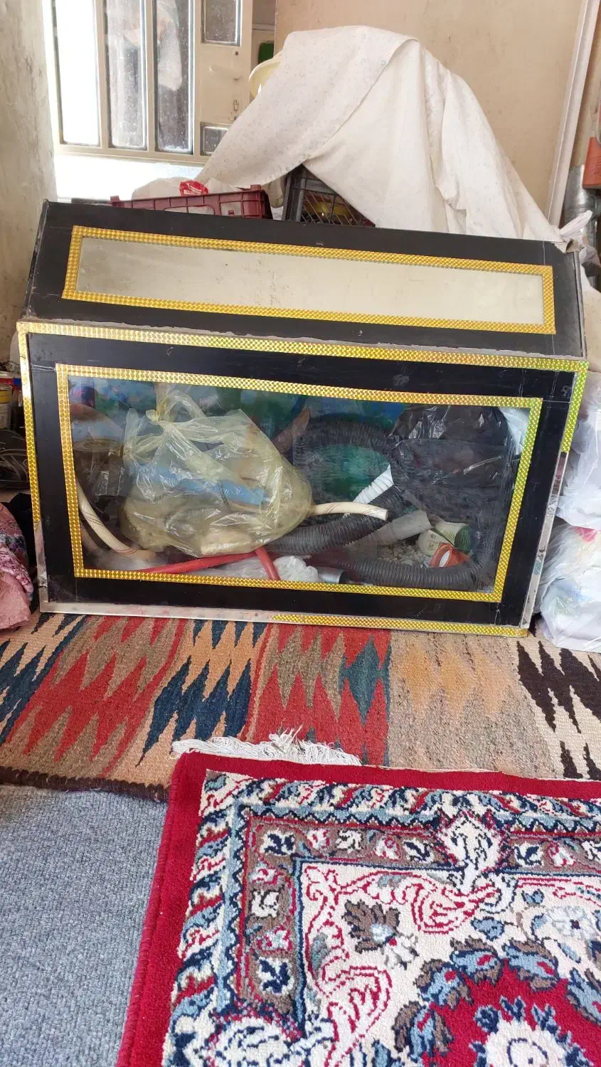 آکواریوم|ماهی|خرمآباد, |دیوار