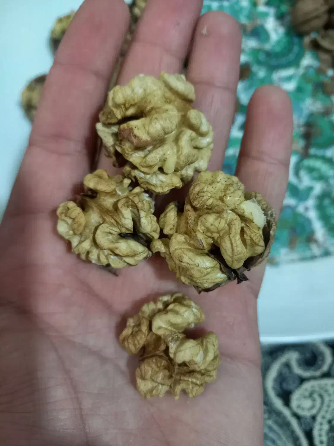 گردو تویسرکان|خوردنی و آشامیدنی|چهارباغ, |دیوار