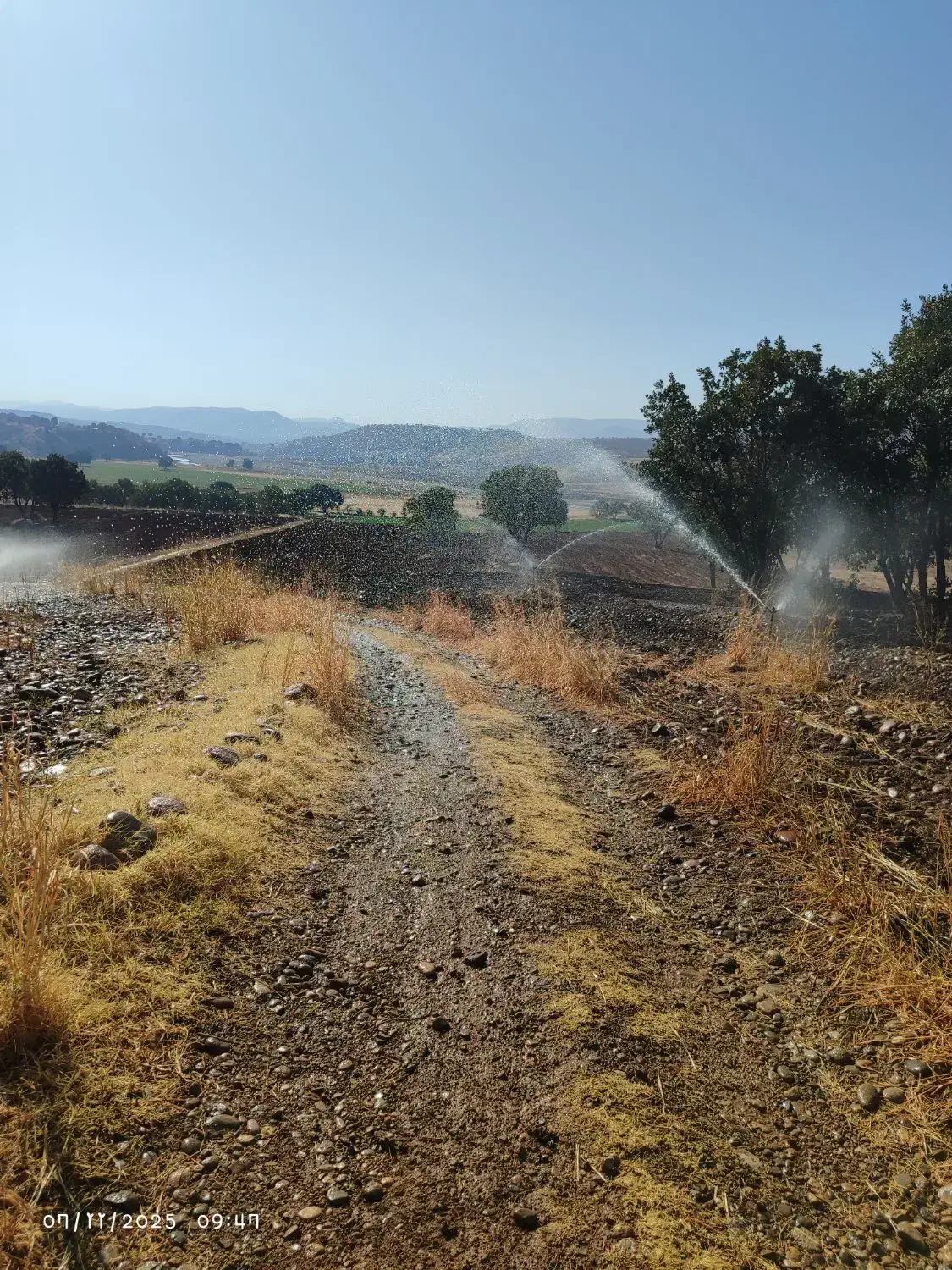 اجاره زمین کشاورزی|اجارهٔ دفتر صنعتی، کشاورزی، تجاری|شاهیوند, |دیوار