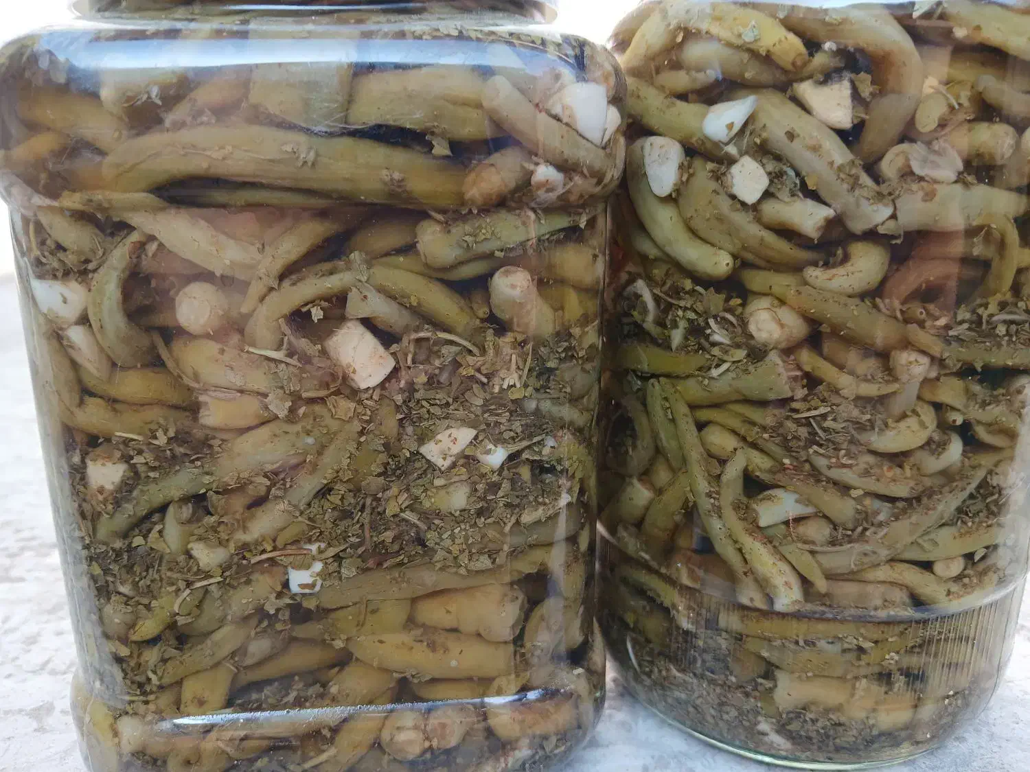 عرضه انواع سبزیجات.ترشیجات .کاملا بهداشتی، خانگی|خوردنی و آشامیدنی|رشت, خرسندی|دیوار