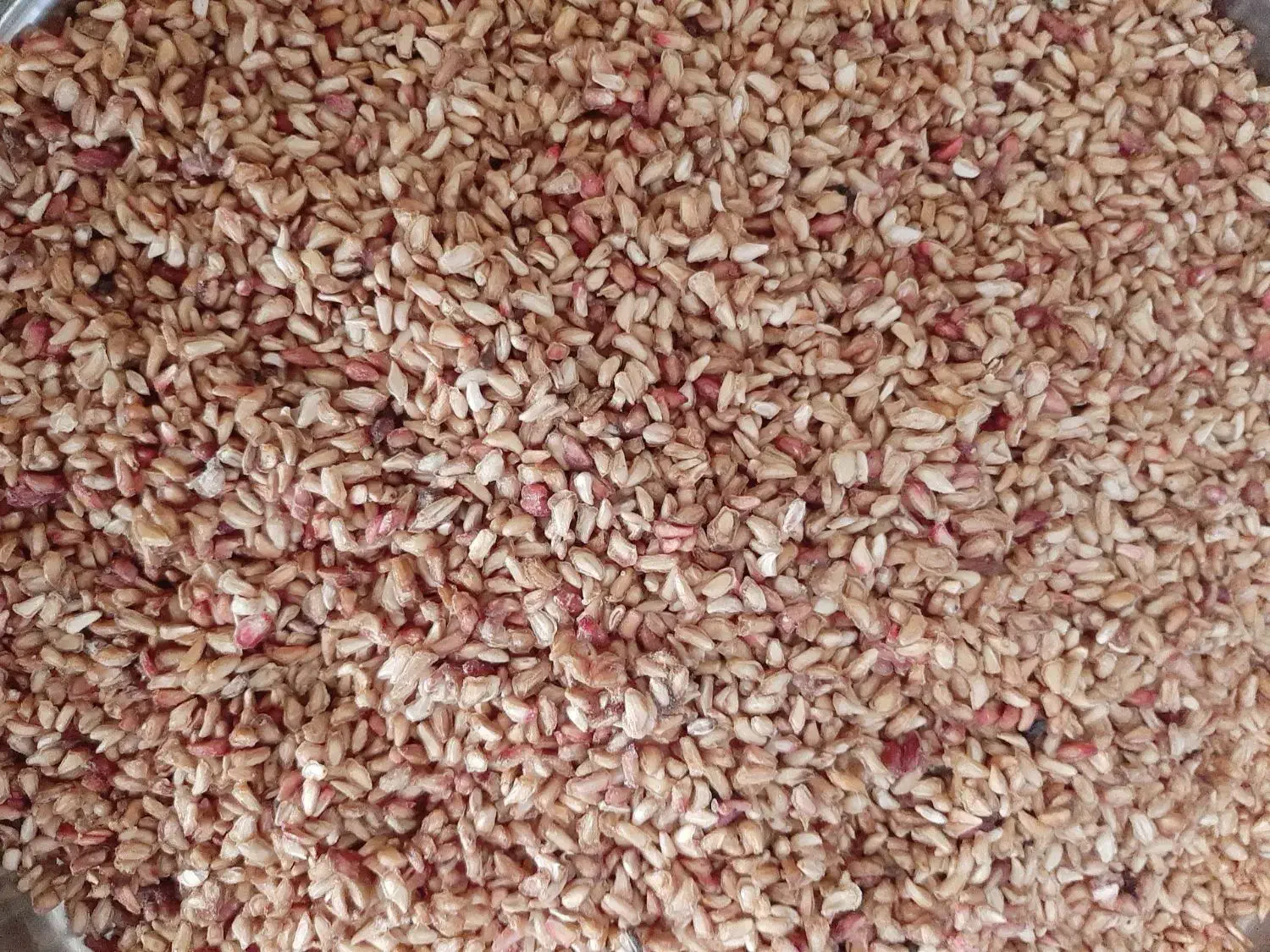 ناردونه محلی|خوردنی و آشامیدنی|فیروزآباد (فارس), |دیوار