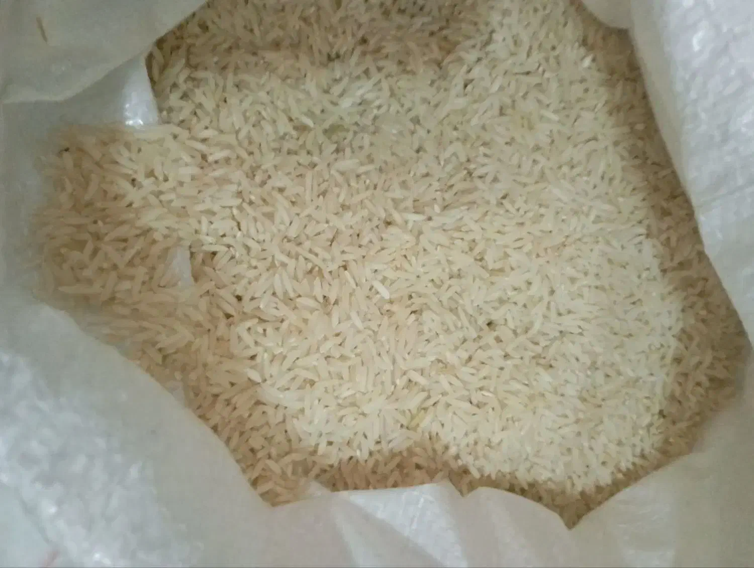 برنج طارم هاشمی اعلا|خوردنی و آشامیدنی|ری, ولی آباد|دیوار