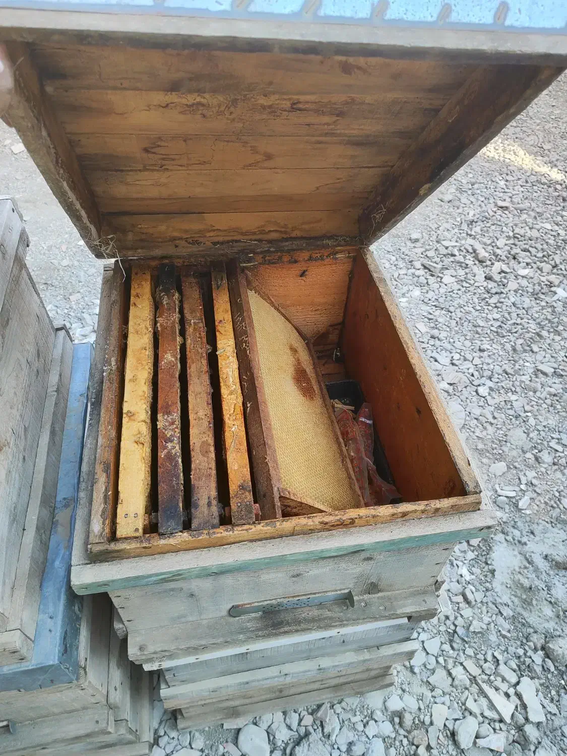 کندو خالی و طبق|حیوانات مزرعه|رامیان, |دیوار