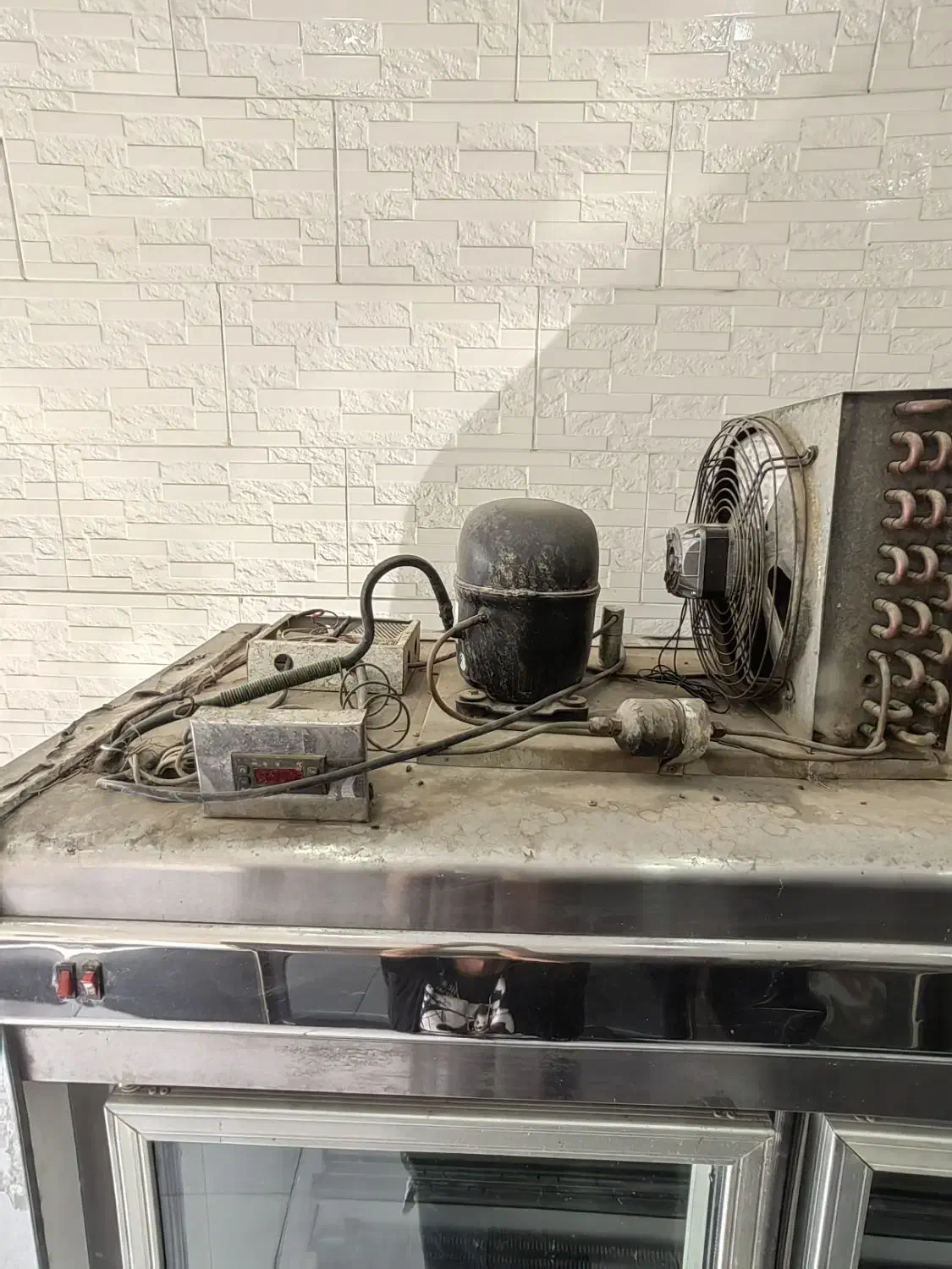 یخچال قصابی|فروشگاه و مغازه|یزد, |دیوار