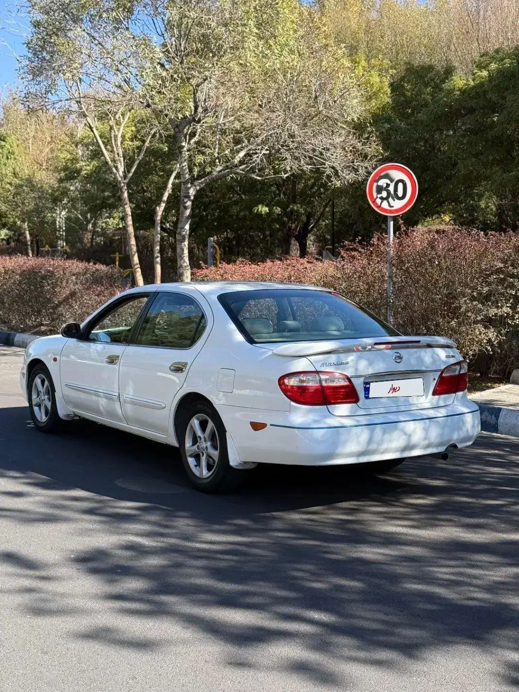 ماکسیما اتوماتیک مدل 85|خودرو سواری و وانت|تبریز, |دیوار