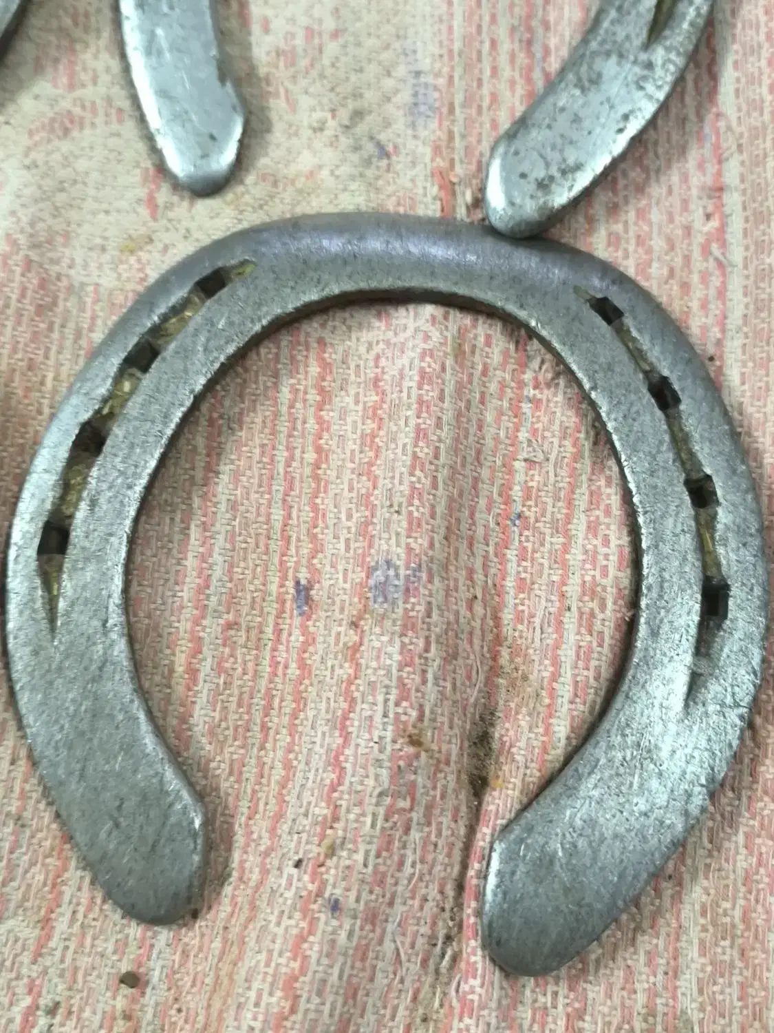 نعل اسب|اسب و تجهیزات اسب‌سواری|زابل, |دیوار