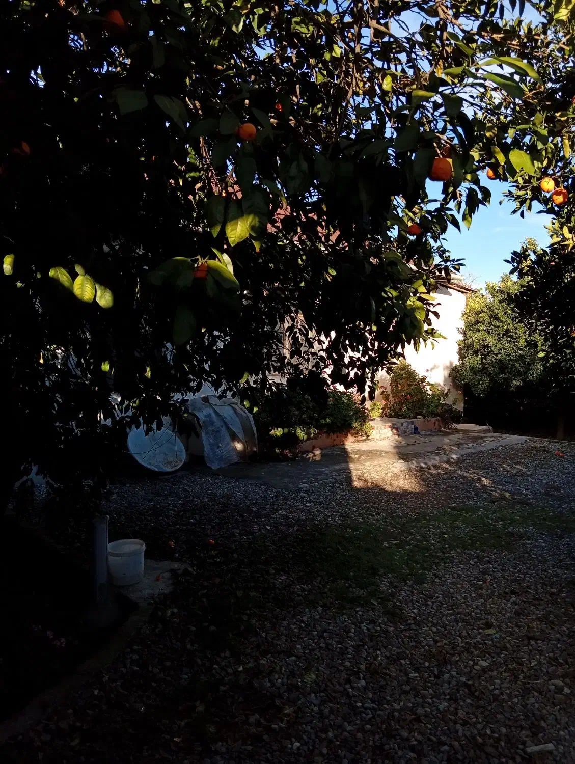 خونه باغ ویلایی 570متری|فروش خانه و ویلا|ارطه, |دیوار