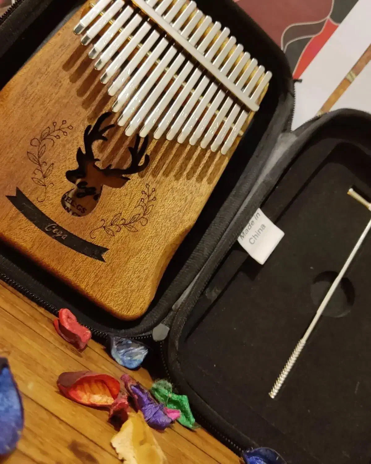 کالیمبا سگا پیکاپخور|سازهای سنتی|رشت, دباغیان|دیوار