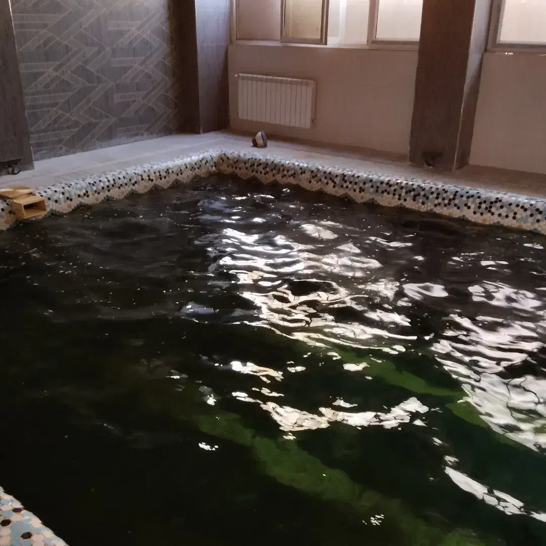 چسب آب بندی استخر عایق کاری استخر،جکوزی|مصالح و تجهیزات ساختمان|آمل, |دیوار