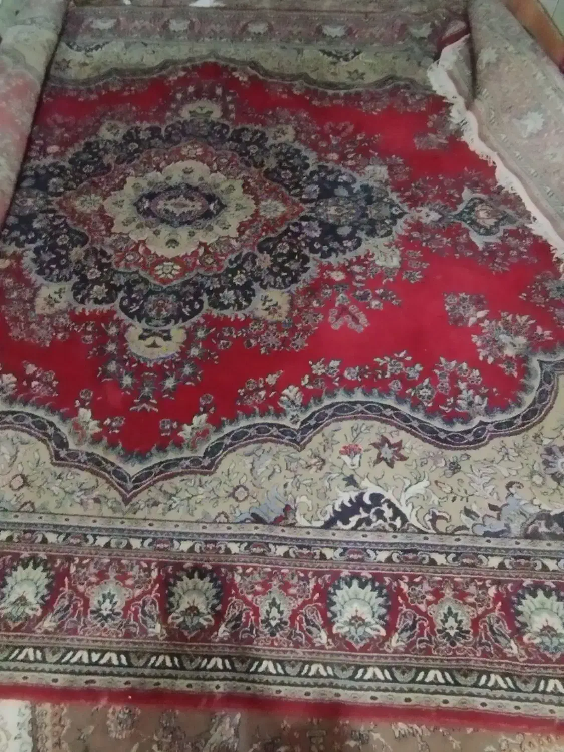 فرش در حد نو|فرش|زاهدان, |دیوار