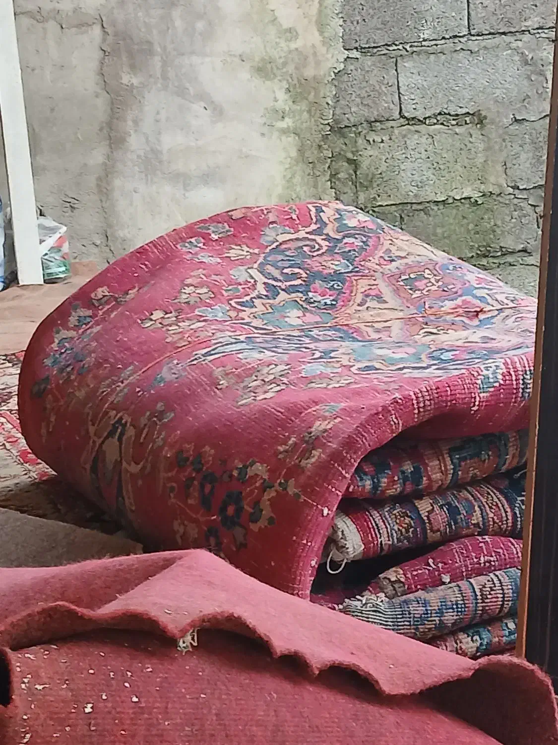 فرش دست بافت|فرش|آستانه اشرفیه, |دیوار