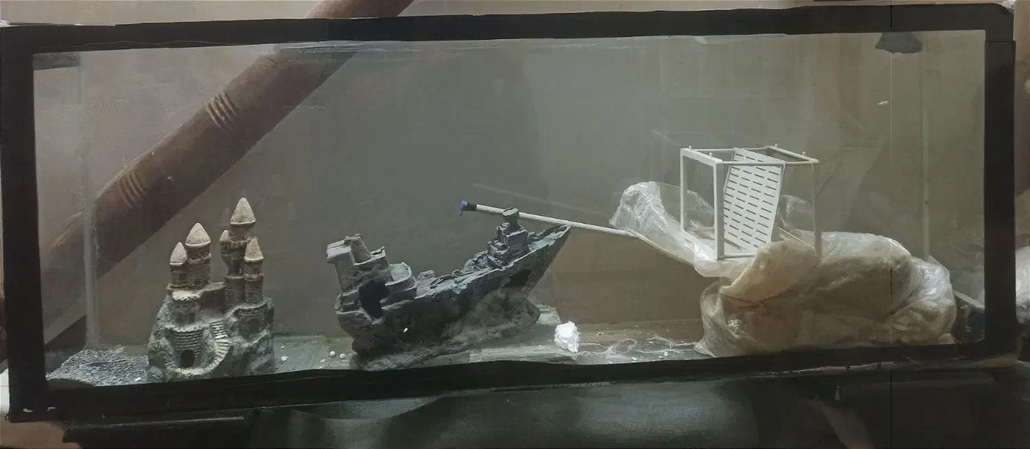 اکواریوم|ماهی|تربت جام, شهرک معلم|دیوار