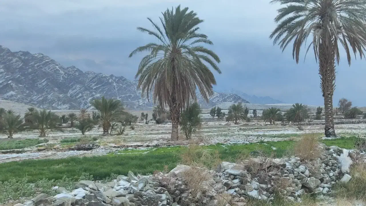 کانکس.|آب‌چکان و نظم‌دهنده ظروف|بم, |دیوار