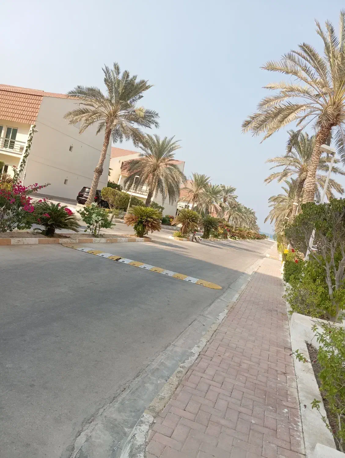 کیش گردی|تور و چارتر|کیش, |دیوار