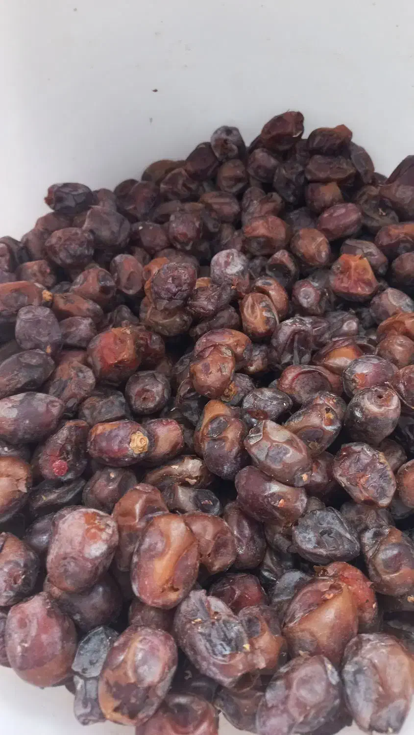 حرما بریم و گنطار درجه یک|خوردنی و آشامیدنی|شادگان, |دیوار