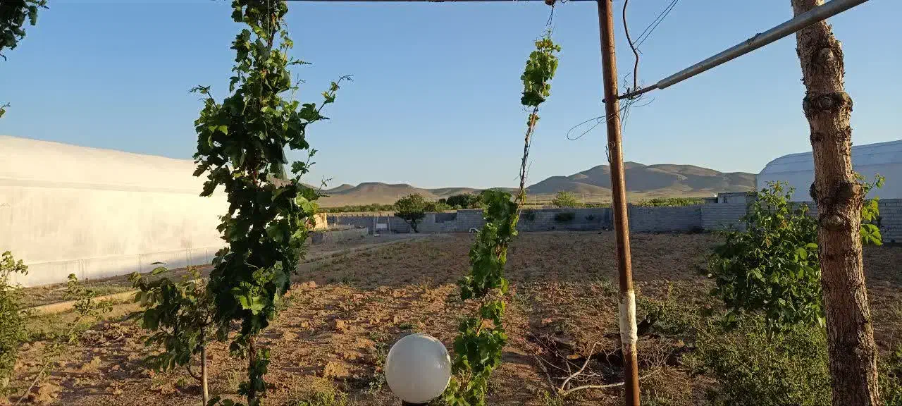 فروش زمین و گلخانه|فروش دفتر صنعتی، کشاورزی، تجاری|تیران, |دیوار