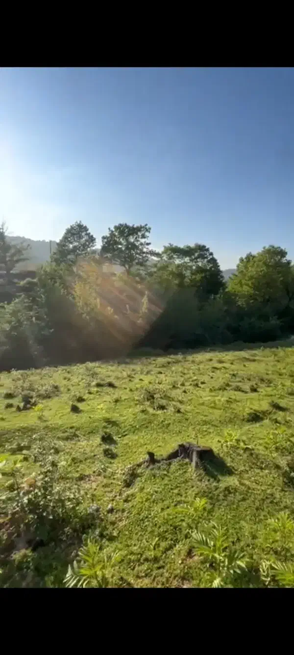 زمین ویلایی/۷۰۰متر/مسکونی/سندتکبرگ/روستای هدول|فروش زمین و ملک کلنگی|آستارا, |دیوار
