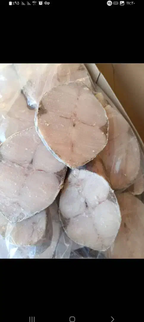 دنبه گوسفندی منجمد|خوردنی و آشامیدنی|اندیمشک, |دیوار