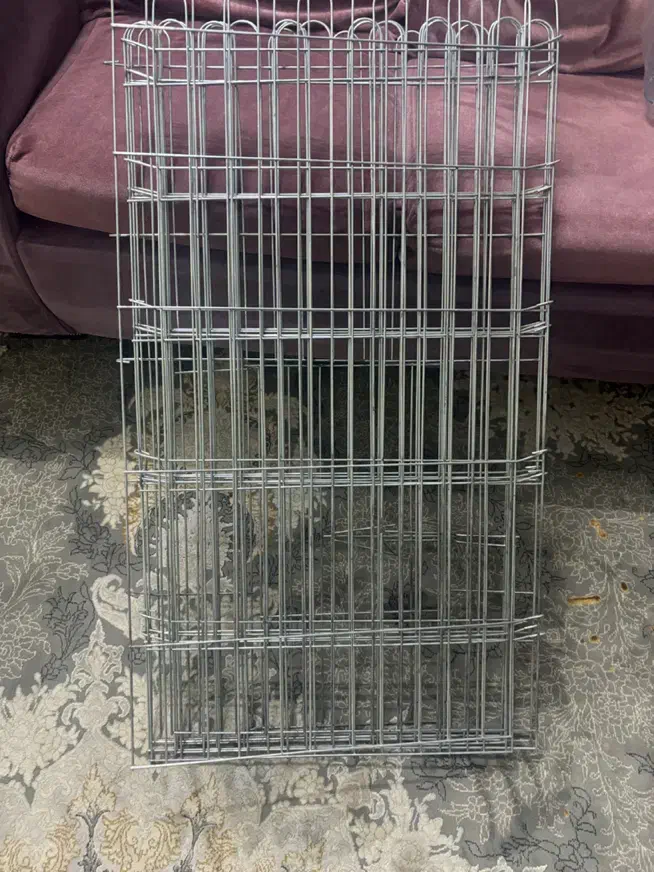 پارک سگ|لوازم جانبی حیوانات|تهران, امیریه|دیوار