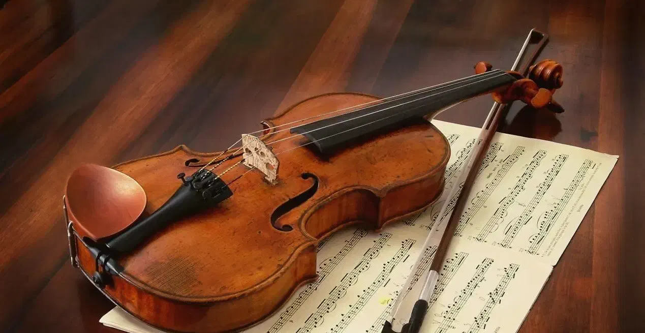 تدریس خصوصی ویولن کلاسیک از مبتدی تا پیشرفته|خدمات آموزشی|شاهینشهر, خبرنگار|دیوار