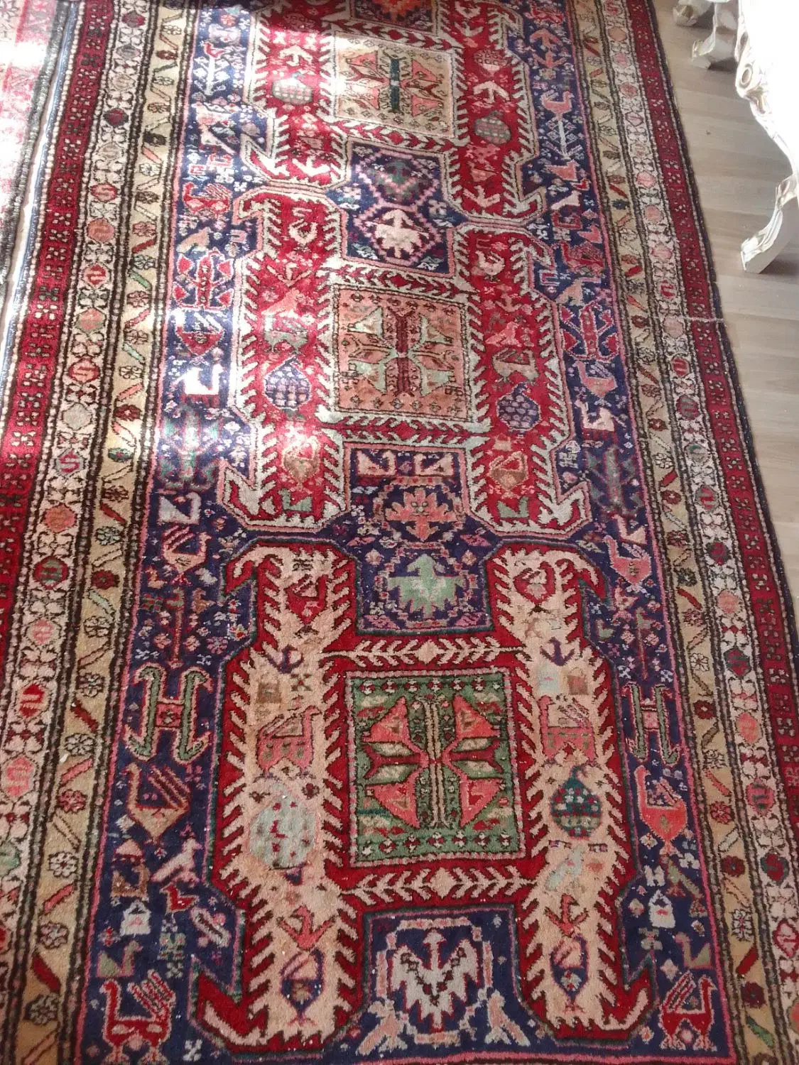 فرش دست بافت کناره|فرش|اردبیل, |دیوار