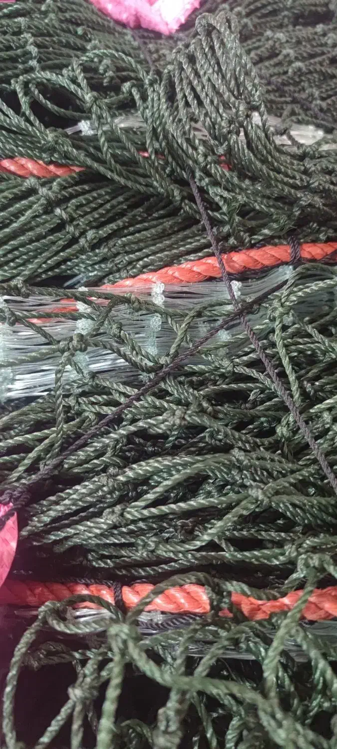 تک تور|ماهیگیری|بوشهر, |دیوار