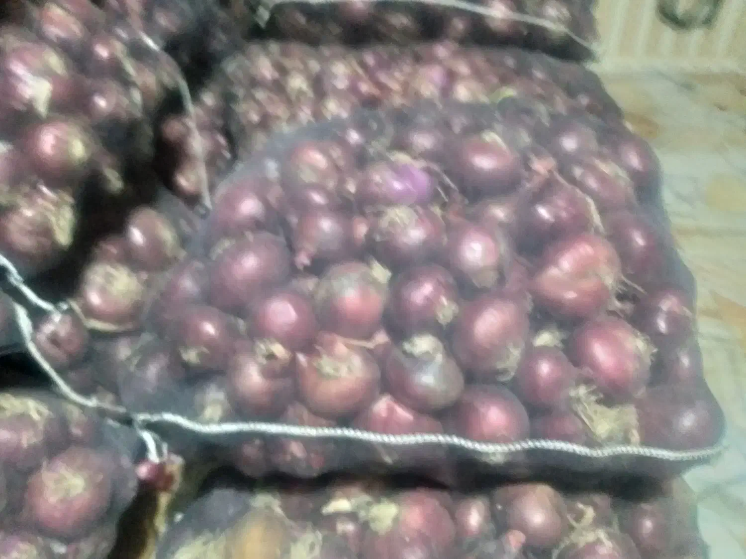 پیاز قرمز|عمدهفروشی|اشنویه, |دیوار