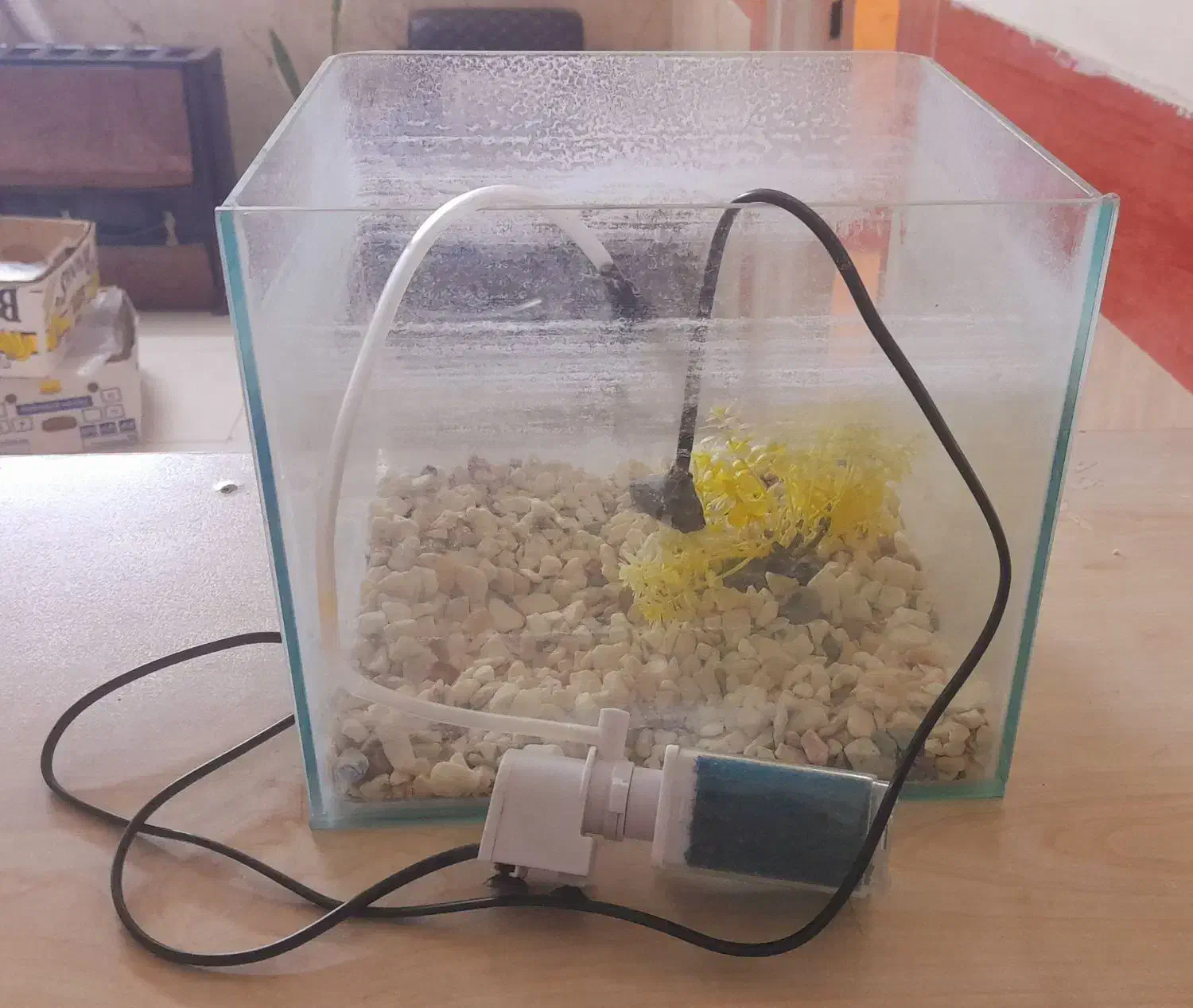 آکواریوم|ماهی|نسیم‌شهر, |دیوار