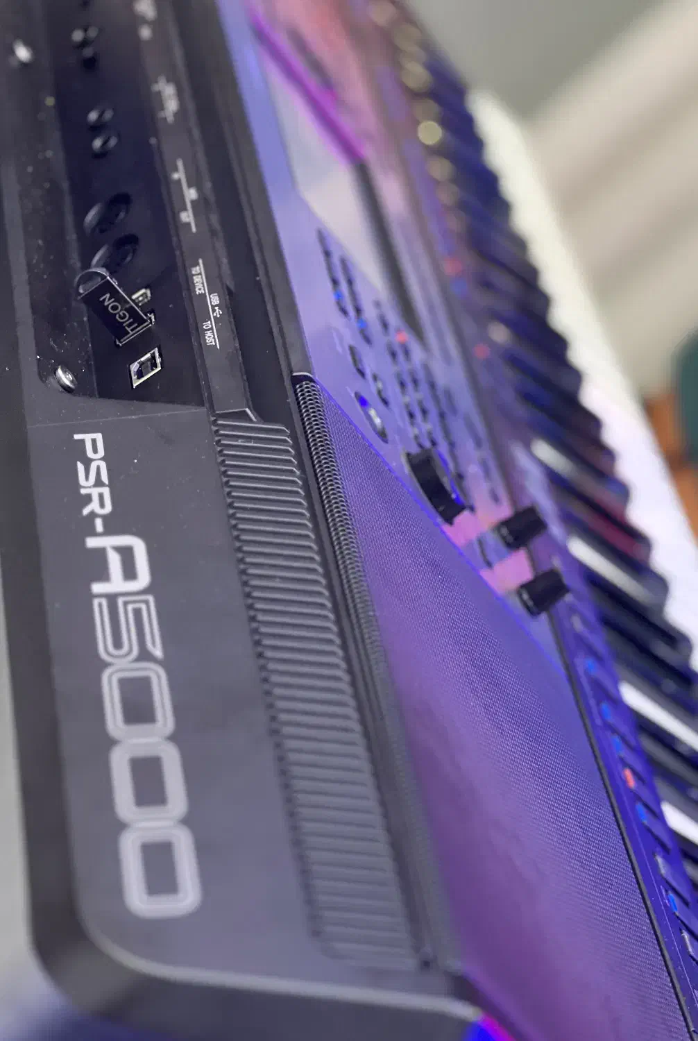 کیبوردارگ|پیانو، کیبورد، آکاردئون|بجنورد, |دیوار