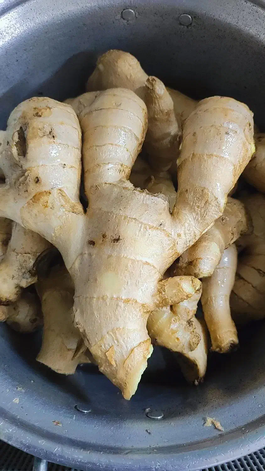 عصاره زنجبیل به قیمت عمده|خوردنی و آشامیدنی|زارچ, |دیوار