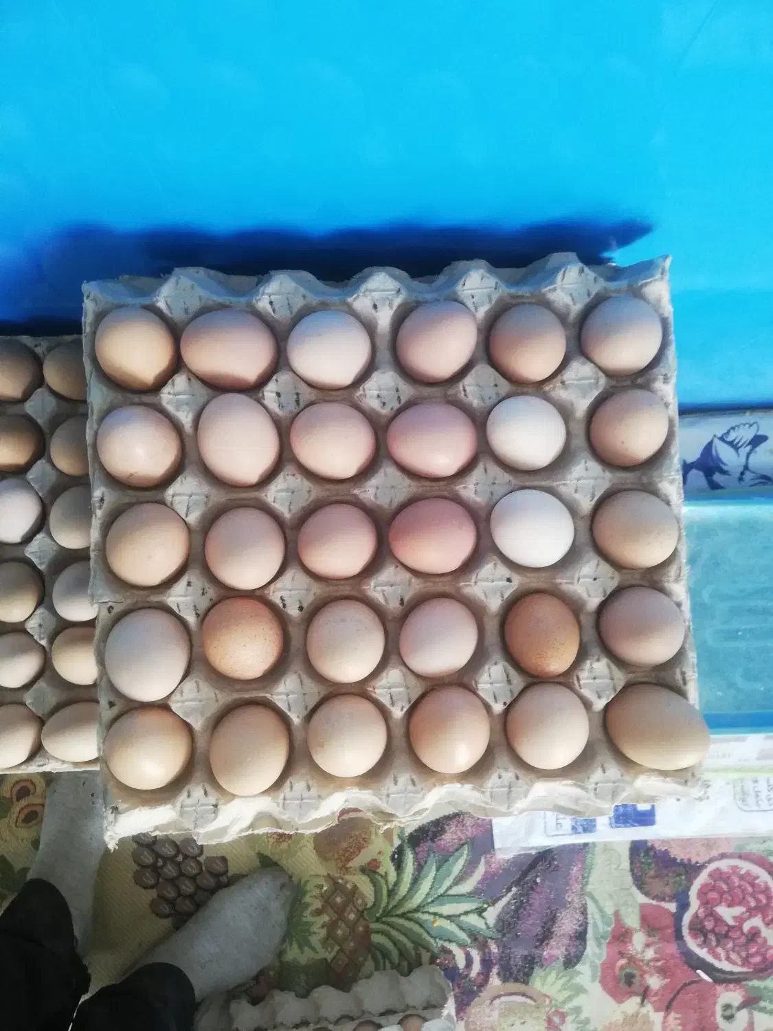 تخم مرغ گلپایگانی|خوردنی و آشامیدنی|رباط‌کریم, رباط‌کریم|دیوار