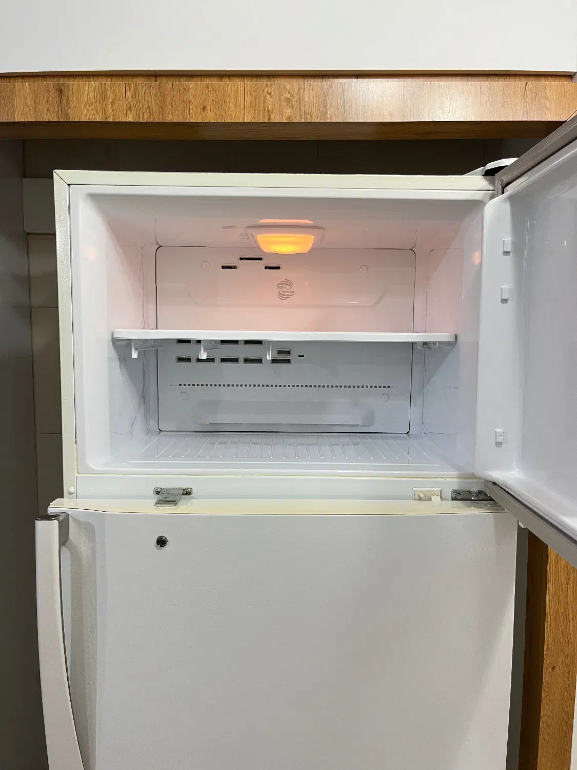 یخچال|یخچال و فریزر|گنبد کاووس, |دیوار