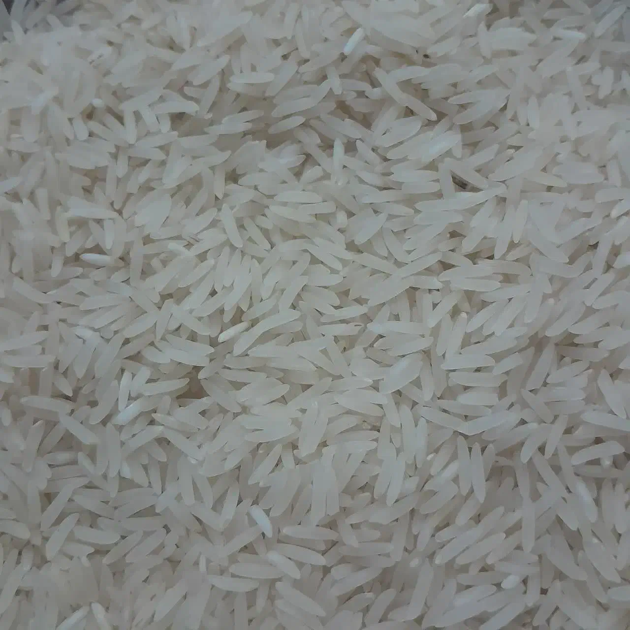 برنج فجر گلستان مخصوص مجالس معطر|خوردنی و آشامیدنی|قرچک, قشلاق جیتو|دیوار