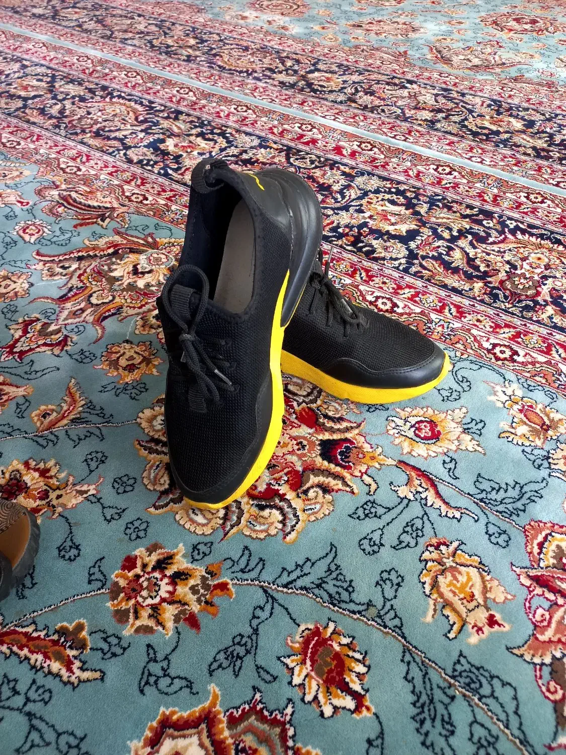 کفش نو|کیف، کفش، کمربند|سبزوار, شهدا|دیوار