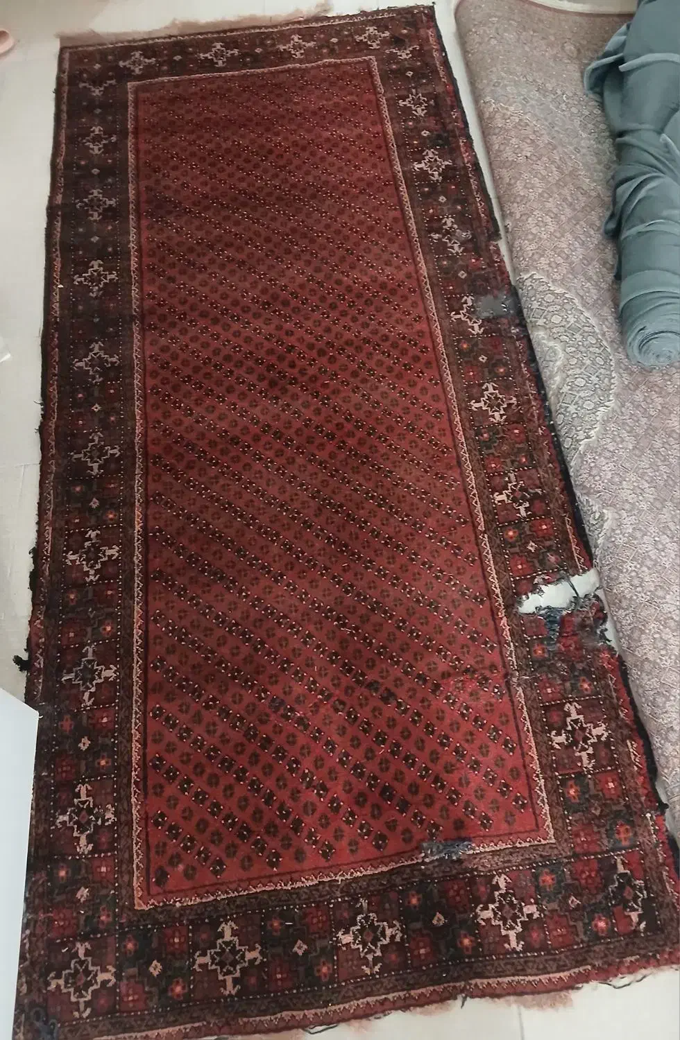 فرش۳متری|فرش|گرگان, |دیوار