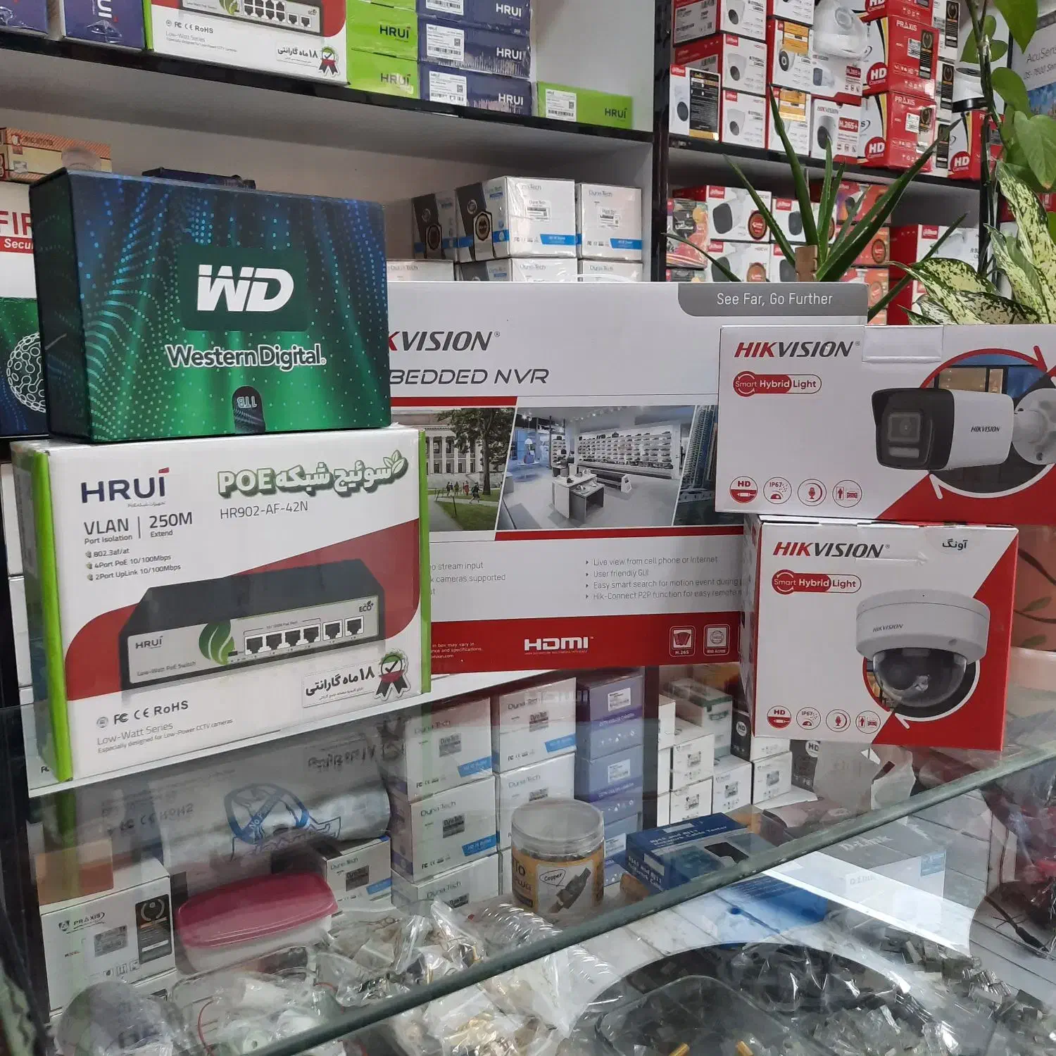 پک 2 دوربین IP هایک ویژن رنگی|دوربین مداربسته|زنجان, |دیوار