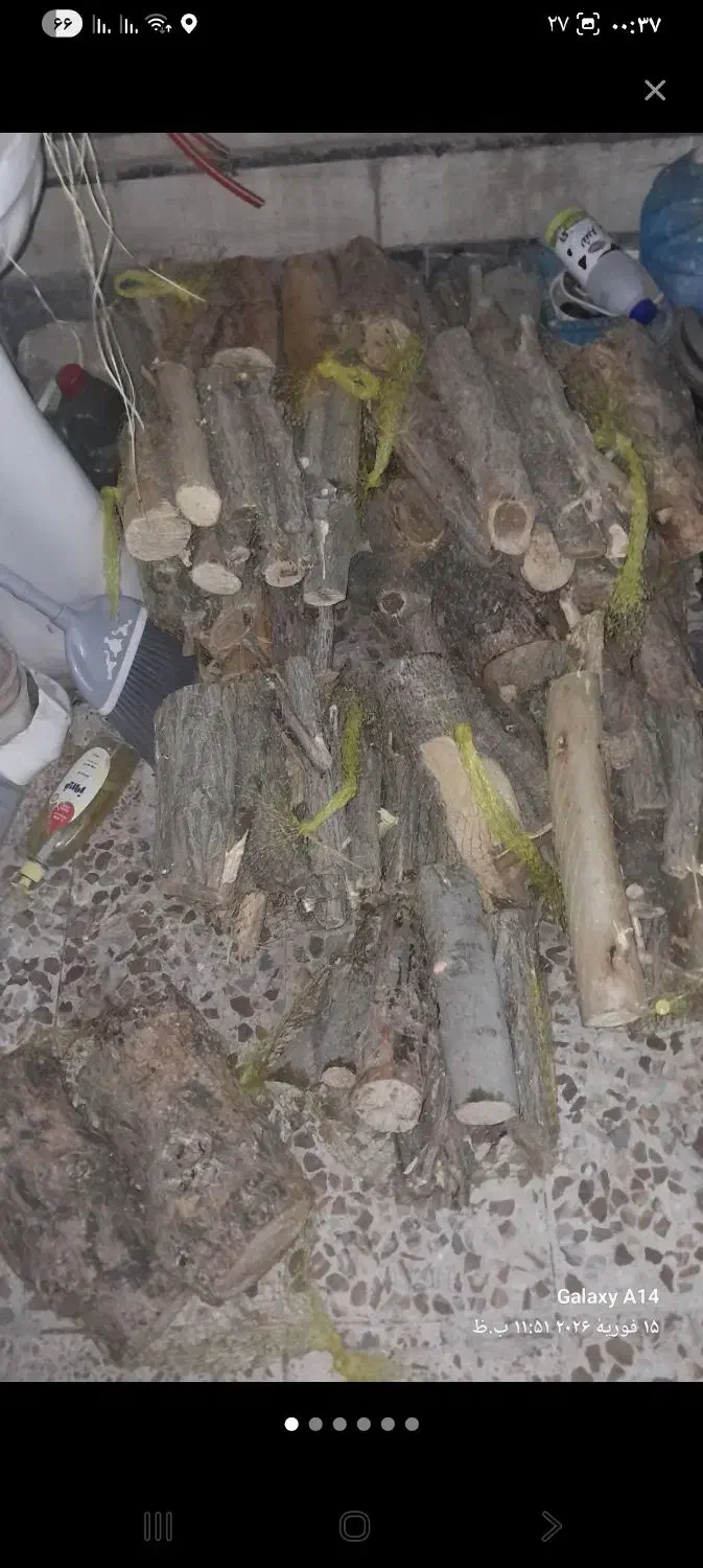 هیزم|حراج|قم, نوبهار|دیوار