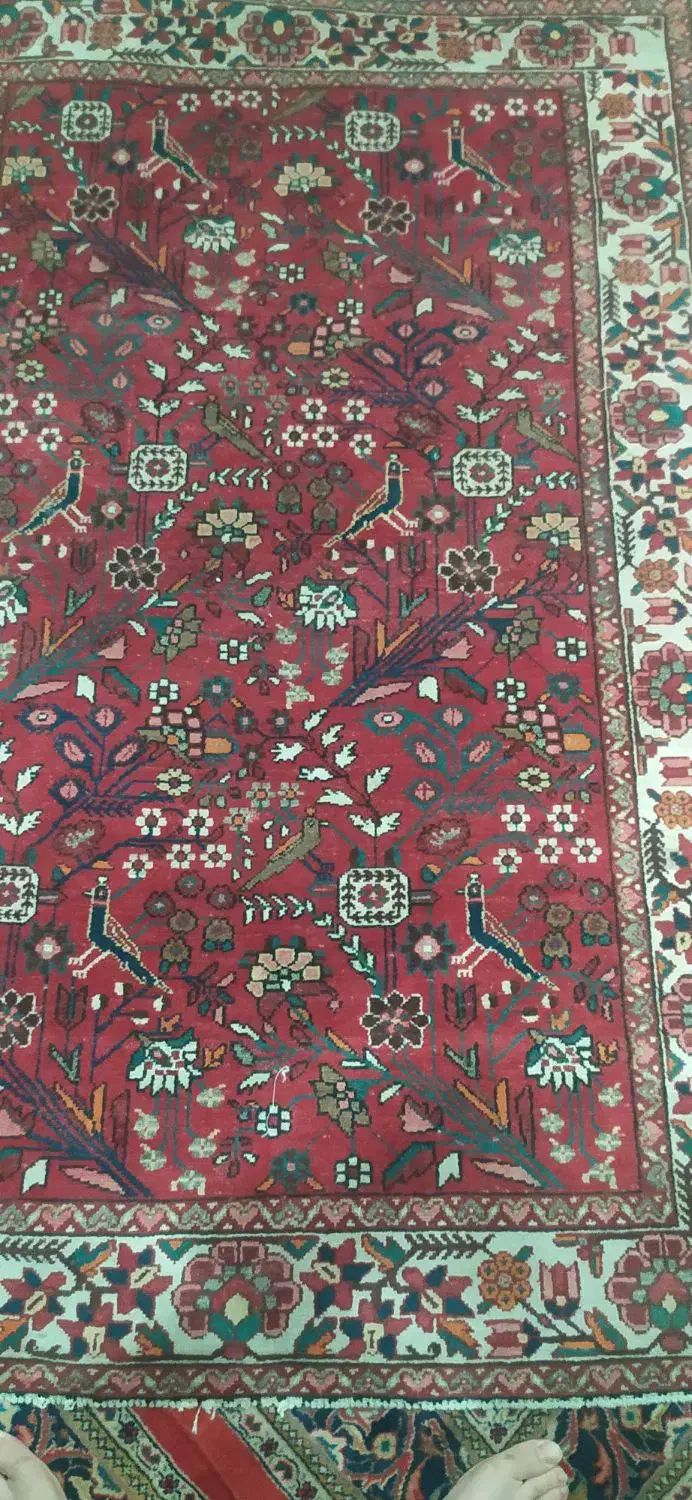 فرش دستبافت|فرش|مهاباد (اصفهان), |دیوار